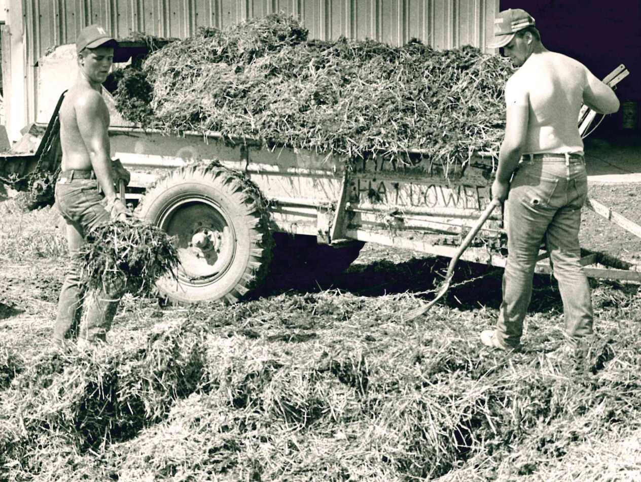 Spreading manure
